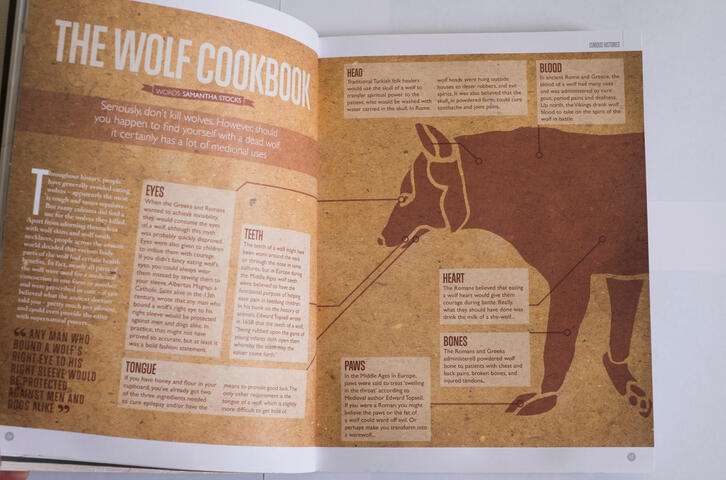 Feature for Ernest Journal